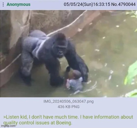 boeing quality control gorilla | image tagged in boeing quality control gorilla | made w/ Imgflip meme maker