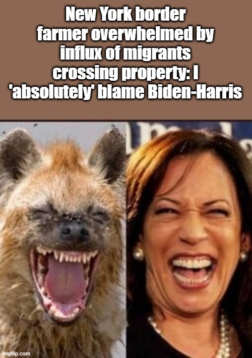 New York border farmer overwhelmed by influx of migrants crossing property: I 'absolutely' blame Biden-Harris | made w/ Imgflip meme maker