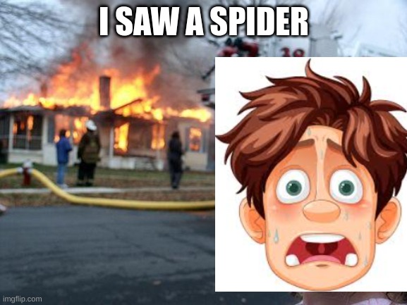 Disaster Girl | I SAW A SPIDER | image tagged in memes | made w/ Imgflip meme maker