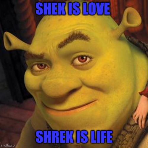 putting it on the wall | SHEK IS LOVE; SHREK IS LIFE | image tagged in shrek sexy face,shrek,funny,shrek is love,shrek is life | made w/ Imgflip meme maker