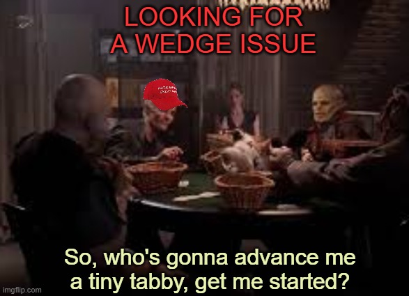 [Spike/MAGA]"Come on. Someone's got to stake me." [Buffy/Everyone]: "I'll do it." | LOOKING FOR A WEDGE ISSUE; So, who's gonna advance me a tiny tabby, get me started? | image tagged in spike kitten poker,buffy the vampire slayer,politics,gop,crossover,tv show | made w/ Imgflip meme maker