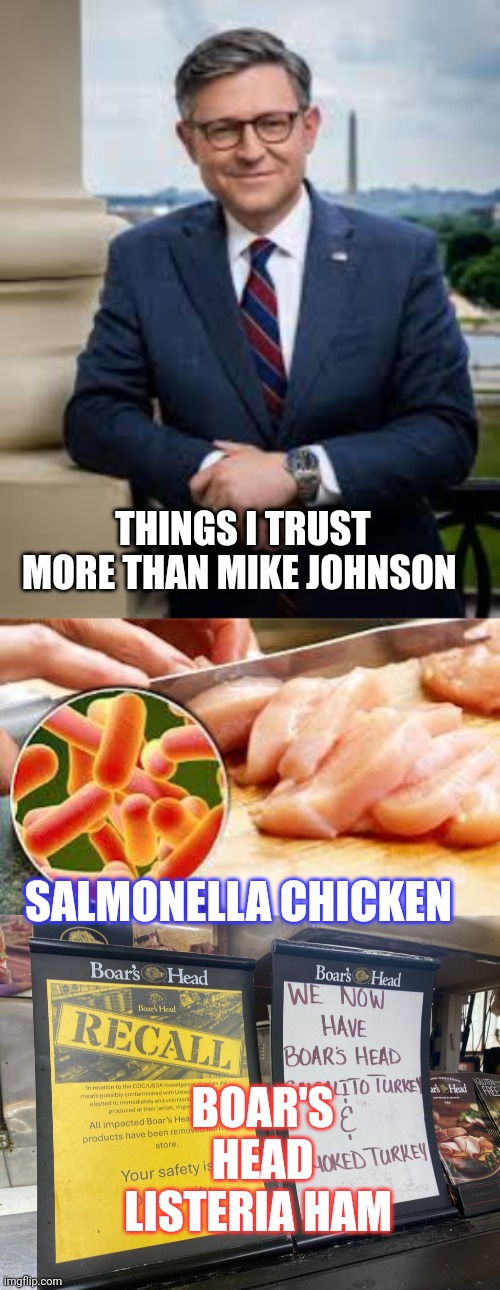 mike johnson meme | THINGS I TRUST MORE THAN MIKE JOHNSON; SALMONELLA CHICKEN; BOAR'S HEAD LISTERIA HAM | image tagged in rino | made w/ Imgflip meme maker