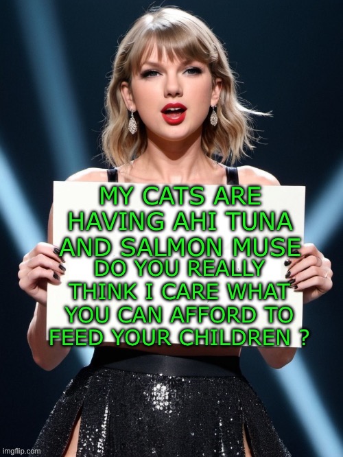 Nope I know better | MY CATS ARE HAVING AHI TUNA AND SALMON MUSE; DO YOU REALLY THINK I CARE WHAT YOU CAN AFFORD TO FEED YOUR CHILDREN ? | image tagged in democracy | made w/ Imgflip meme maker