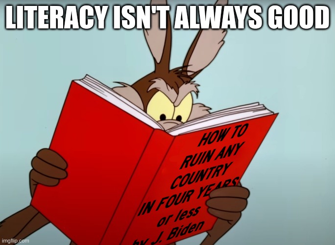 let's not... | LITERACY ISN'T ALWAYS GOOD | image tagged in fun,oh wow are you actually reading these tags | made w/ Imgflip meme maker