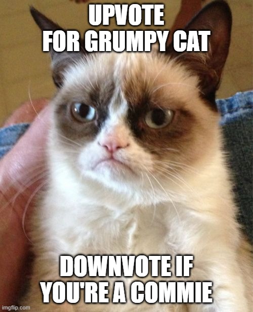 Grumpy Cat | UPVOTE FOR GRUMPY CAT; DOWNVOTE IF YOU'RE A COMMIE | image tagged in memes,grumpy cat | made w/ Imgflip meme maker