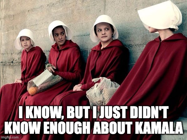 Handmaid's Tale | I KNOW, BUT I JUST DIDN'T KNOW ENOUGH ABOUT KAMALA | image tagged in handmaid's tale | made w/ Imgflip meme maker