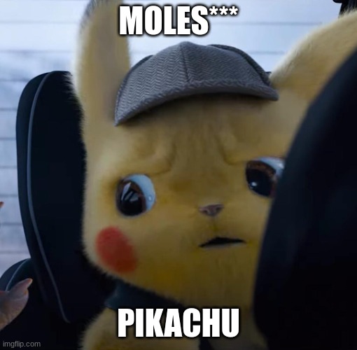 Unsettled detective pikachu | MOLES*** PIKACHU | image tagged in unsettled detective pikachu | made w/ Imgflip meme maker