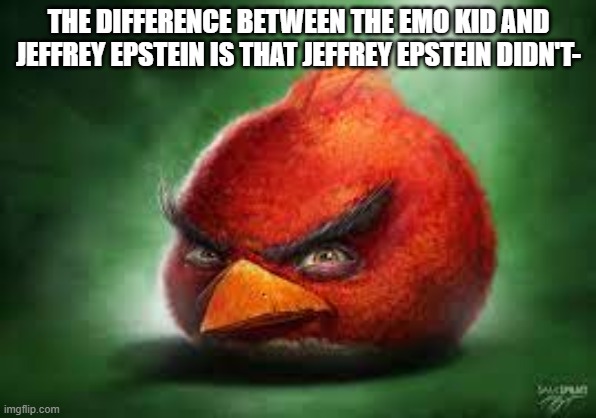 Realistic Red Angry Birds | THE DIFFERENCE BETWEEN THE EMO KID AND JEFFREY EPSTEIN IS THAT JEFFREY EPSTEIN DIDN'T- | image tagged in realistic red angry birds | made w/ Imgflip meme maker