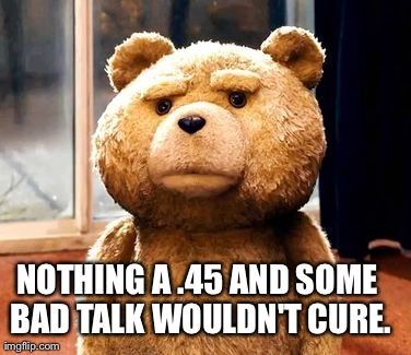 TED | NOTHING A .45 AND SOME BAD TALK WOULDN'T CURE. | image tagged in memes,ted | made w/ Imgflip meme maker
