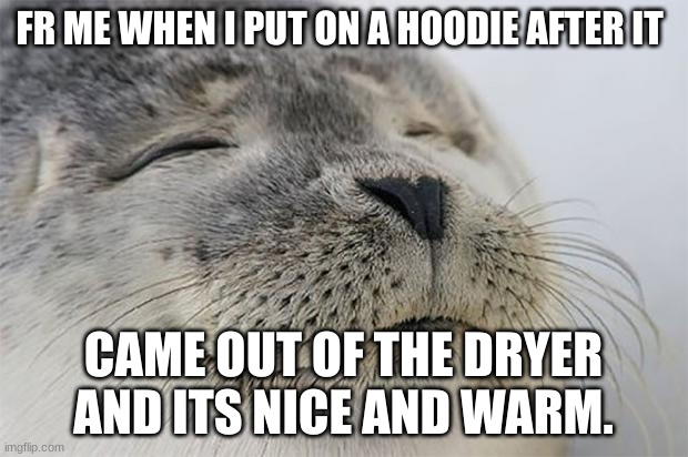 anyone else relate? | FR ME WHEN I PUT ON A HOODIE AFTER IT; CAME OUT OF THE DRYER AND ITS NICE AND WARM. | image tagged in memes,satisfied seal | made w/ Imgflip meme maker