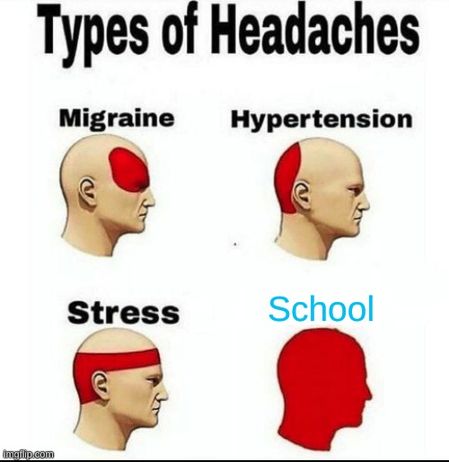 School | School | image tagged in types of headaches meme | made w/ Imgflip meme maker