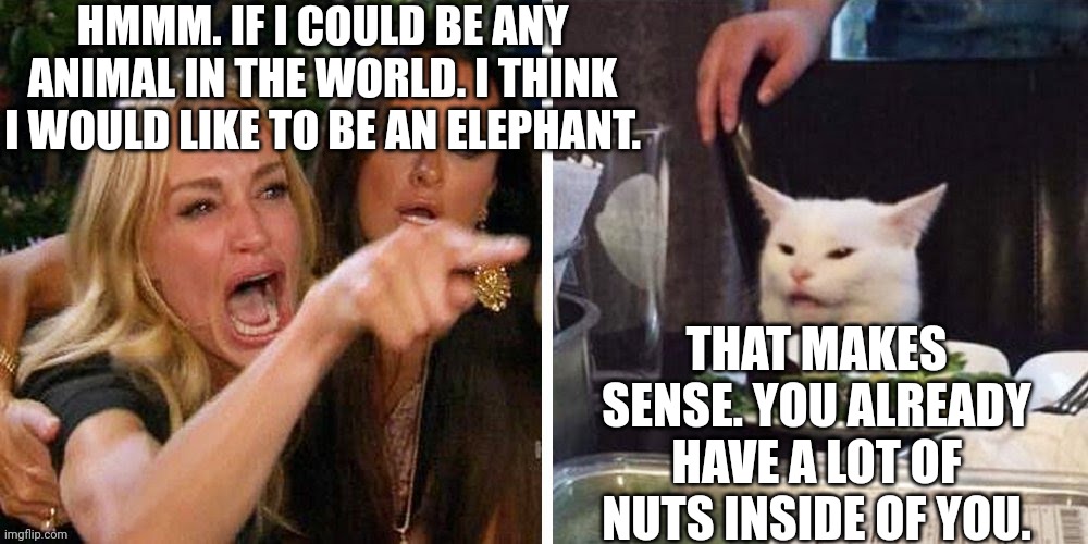 Smudge that darn cat with Karen | HMMM. IF I COULD BE ANY ANIMAL IN THE WORLD. I THINK I WOULD LIKE TO BE AN ELEPHANT. THAT MAKES SENSE. YOU ALREADY HAVE A LOT OF NUTS INSIDE OF YOU. | image tagged in smudge that darn cat with karen | made w/ Imgflip meme maker