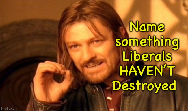 They are bent on destruction. | Name
something
Liberals
HAVEN’T
Destroyed | image tagged in memes,one does not simply,damn marxist dem pukes,fkh voters fjb voters kissmyass n gotohell,pedos burn in lake of fire | made w/ Imgflip meme maker