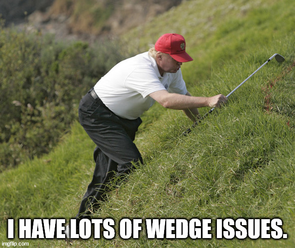 trump golfing | I HAVE LOTS OF WEDGE ISSUES. | image tagged in trump golfing | made w/ Imgflip meme maker