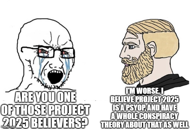 Project 2025 conspiracy theorist | I'M WORSE. I BELIEVE PROJECT 2025 IS A PSYOP, AND HAVE A WHOLE CONSPIRACY THEORY ABOUT THAT AS WELL; ARE YOU ONE OF THOSE PROJECT 2025 BELIEVERS? | image tagged in soyboy vs yes chad | made w/ Imgflip meme maker