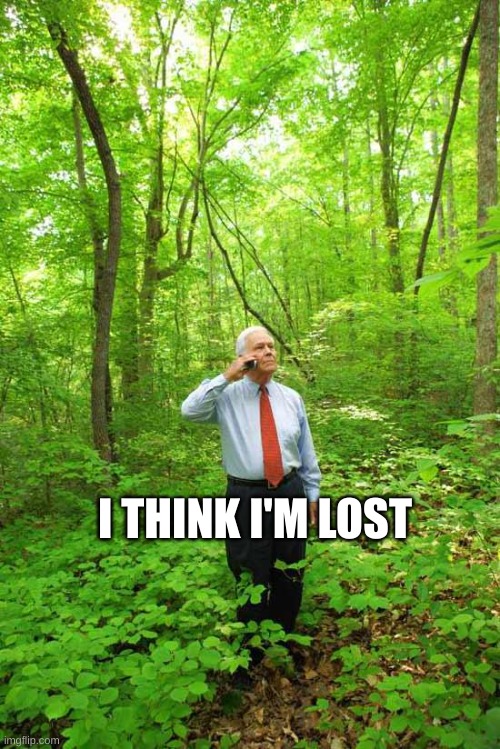 Lost in the Woods | I THINK I'M LOST | image tagged in lost in the woods | made w/ Imgflip meme maker