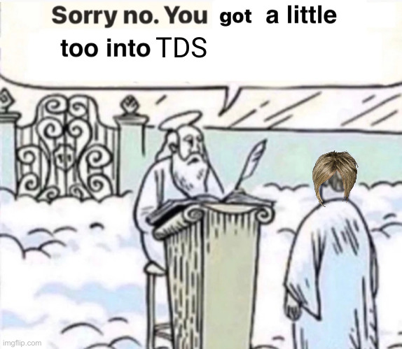 A Little ? | TDS | image tagged in you got a little too into x,political meme,politics,funny memes,funny | made w/ Imgflip meme maker