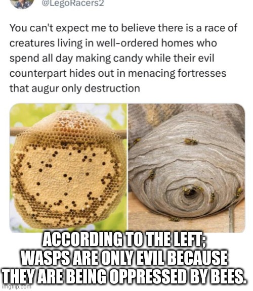 Its just Marxism. | ACCORDING TO THE LEFT; WASPS ARE ONLY EVIL BECAUSE THEY ARE BEING OPPRESSED BY BEES. | made w/ Imgflip meme maker