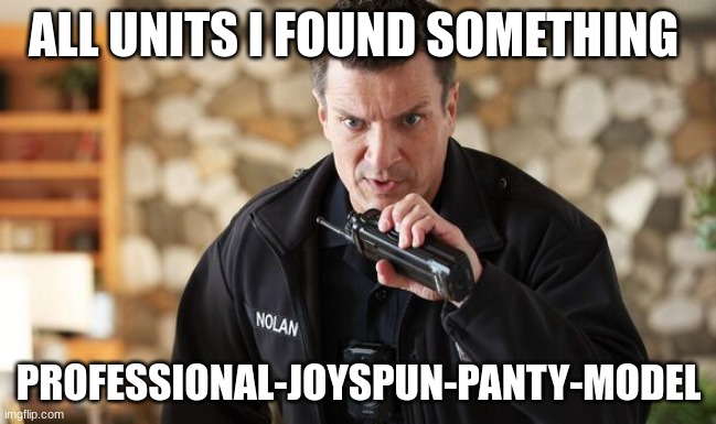 john Nolan | ALL UNITS I FOUND SOMETHING; PROFESSIONAL-JOYSPUN-PANTY-MODEL | image tagged in john nolan | made w/ Imgflip meme maker