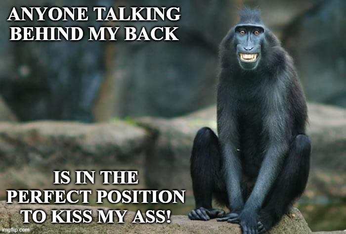 Monkey.sez | ANYONE TALKING BEHIND MY BACK; IS IN THE PERFECT POSITION TO KISS MY ASS! | image tagged in what are you talking about | made w/ Imgflip meme maker