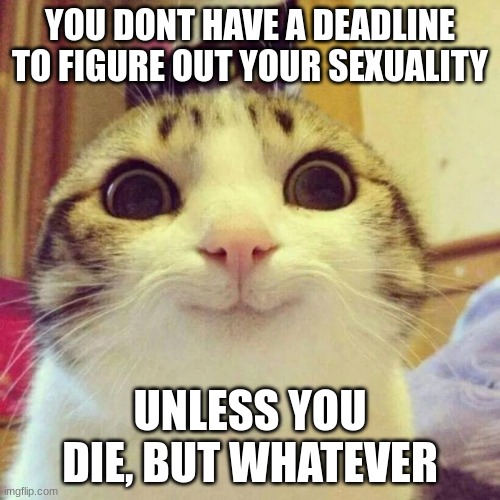 Seriously, take your time. | YOU DONT HAVE A DEADLINE TO FIGURE OUT YOUR SEXUALITY; UNLESS YOU DIE, BUT WHATEVER | image tagged in memes,smiling cat | made w/ Imgflip meme maker