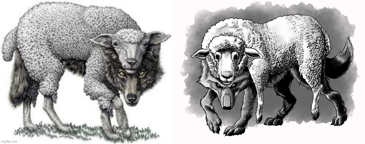 2 Wolves in Sheep clothing Blank Meme Template