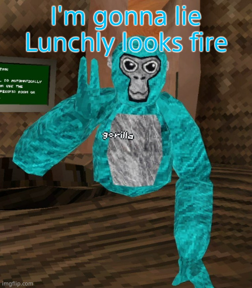 Monkey | I'm gonna lie Lunchly looks fire | image tagged in monkey | made w/ Imgflip meme maker