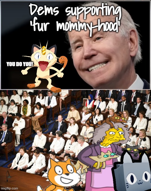 Intersectional Politics: Pro-Choice, Pro Animal Rights, Female Feline Fursonas (formerly known as crazy cat ladies) | Dems supporting 'fur mommy-hood' YOU DO YOU! | image tagged in joe biden - geezer goon groper,dressed in white dem women sotu | made w/ Imgflip meme maker