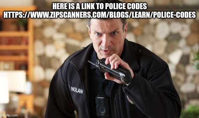 john Nolan | HERE IS A LINK TO POLICE CODES HTTPS://WWW.ZIPSCANNERS.COM/BLOGS/LEARN/POLICE-CODES | image tagged in john nolan | made w/ Imgflip meme maker