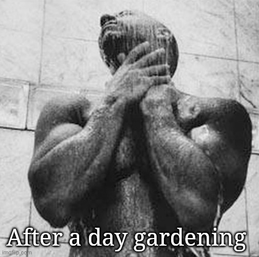 Shower Vin Diesel | After a day gardening | image tagged in shower vin diesel | made w/ Imgflip meme maker