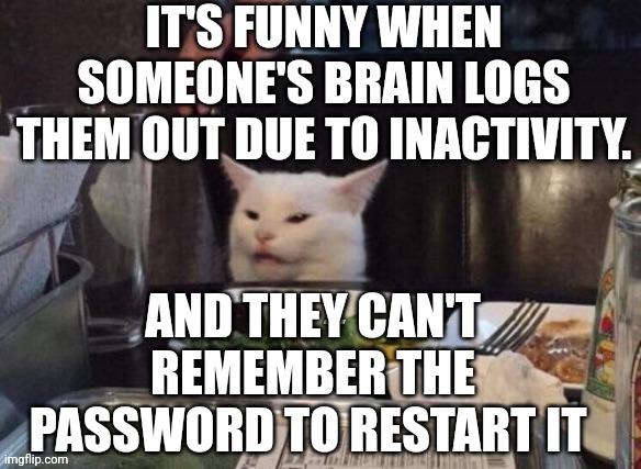 Smudge that darn cat | IT'S FUNNY WHEN SOMEONE'S BRAIN LOGS THEM OUT DUE TO INACTIVITY. AND THEY CAN'T REMEMBER THE PASSWORD TO RESTART IT | image tagged in smudge that darn cat | made w/ Imgflip meme maker