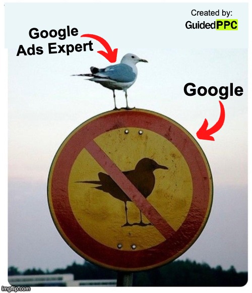 Google vs Google Ads Expert | Created by:; Google Ads Expert; Google | image tagged in the rowdy pigeon,google ads,google,memes | made w/ Imgflip meme maker