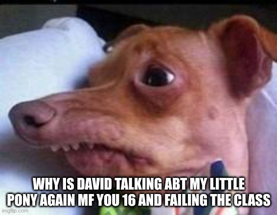 lisp dog | WHY IS DAVID TALKING ABT MY LITTLE PONY AGAIN MF YOU 16 AND FAILING THE CLASS | image tagged in lisp dog | made w/ Imgflip meme maker