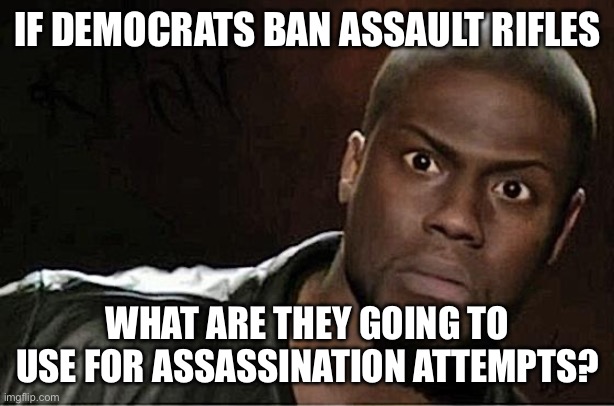 Kevin Hart | IF DEMOCRATS BAN ASSAULT RIFLES; WHAT ARE THEY GOING TO USE FOR ASSASSINATION ATTEMPTS? | image tagged in memes,kevin hart | made w/ Imgflip meme maker