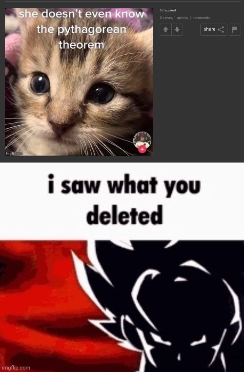 image tagged in i saw what you deleted | made w/ Imgflip meme maker