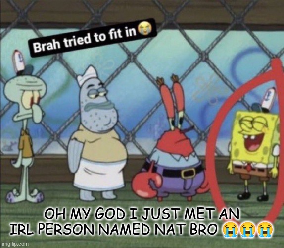 brah tried to fit in | OH MY GOD I JUST MET AN IRL PERSON NAMED NAT BRO 😭😭😭 | image tagged in brah tried to fit in | made w/ Imgflip meme maker