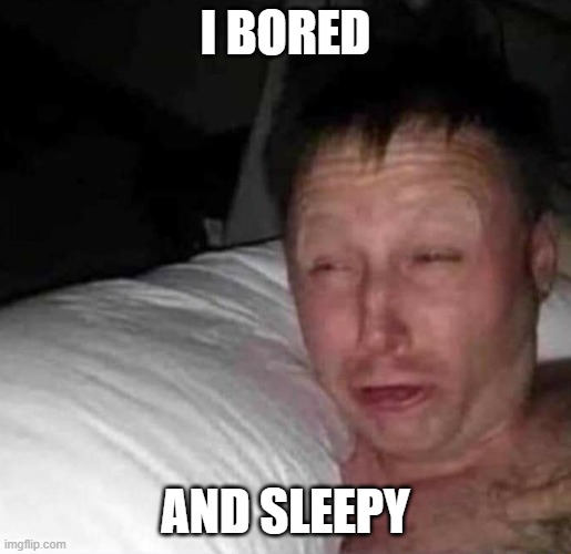 I need sleep | I BORED; AND SLEEPY | image tagged in sleepy guy | made w/ Imgflip meme maker