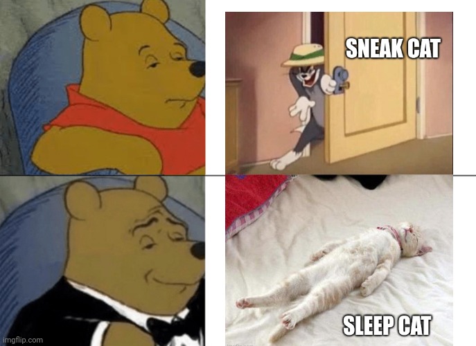 Tuxedo Winnie The Pooh Meme | image tagged in memes,tuxedo winnie the pooh | made w/ Imgflip meme maker