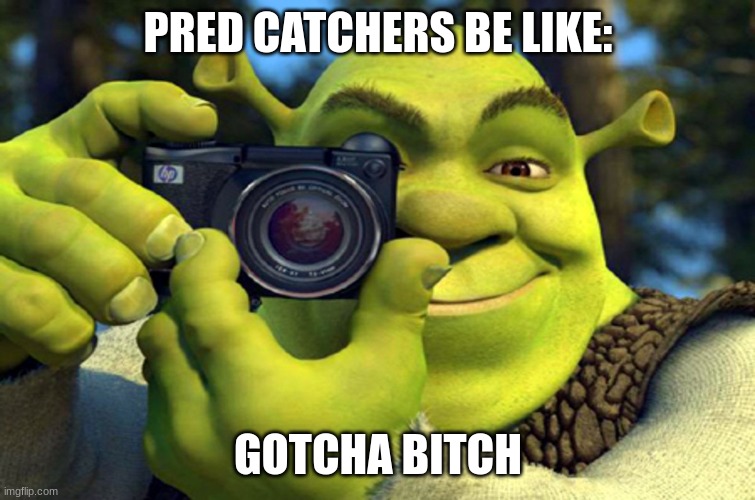 Shrek taking a picture | PRED CATCHERS BE LIKE: GOTCHA BITCH | image tagged in shrek taking a picture | made w/ Imgflip meme maker