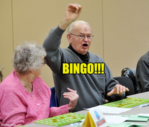 Bingo | BINGO!!! | image tagged in bingo | made w/ Imgflip meme maker