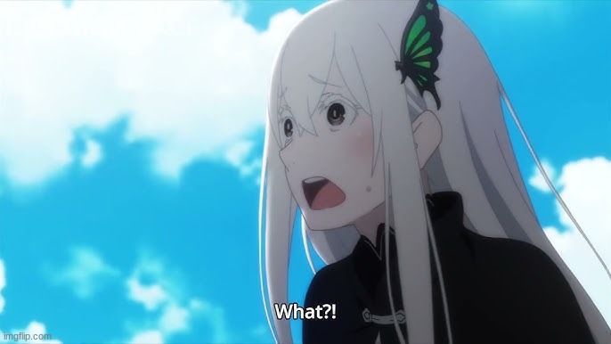 Echidna "What?!" | image tagged in echidna what | made w/ Imgflip meme maker