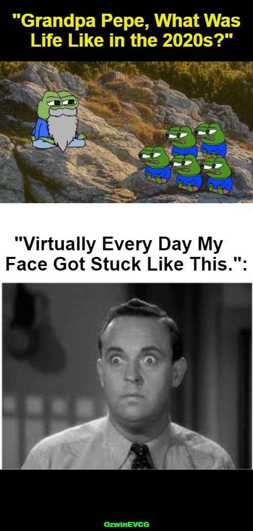 Shocked Frogs, Horrified Humans | "Grandpa Pepe, What Was  

Life Like in the 2020s?"; "Virtually Every Day My   

Face Got Stuck Like This.":; OzwinEVCG | image tagged in pepe,black and white,clown world,2020s,say what,see what again | made w/ Imgflip meme maker