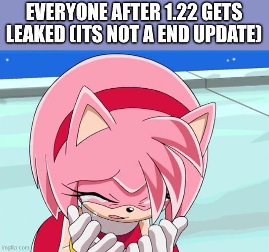 Amy Rose | EVERYONE AFTER 1.22 GETS LEAKED (ITS NOT A END UPDATE) | image tagged in amy rose | made w/ Imgflip meme maker