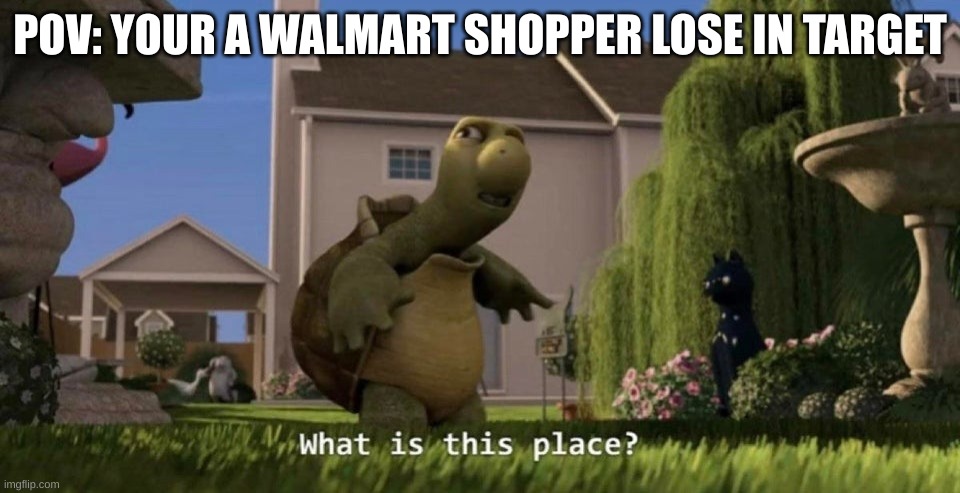 What is this place | POV: YOUR A WALMART SHOPPER LOSE IN TARGET | image tagged in what is this place | made w/ Imgflip meme maker