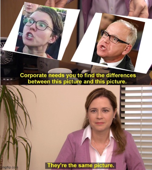 Triggered Tim | image tagged in memes,they're the same picture | made w/ Imgflip meme maker