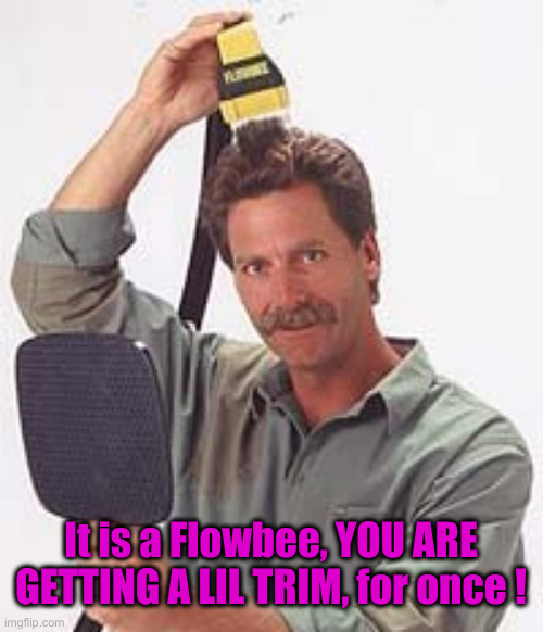 Flowbee | It is a Flowbee, YOU ARE GETTING A LIL TRIM, for once ! | image tagged in flowbee | made w/ Imgflip meme maker