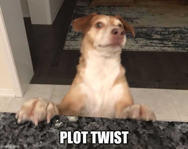 Plot twist | PLOT TWIST | image tagged in plot twist | made w/ Imgflip meme maker