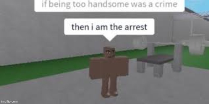 Roblox meme from Pinterest #6 | image tagged in roblox | made w/ Imgflip meme maker