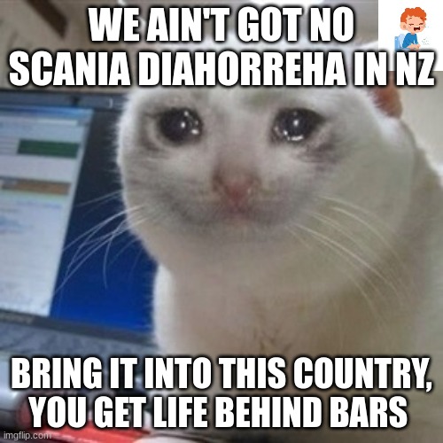 bring it into the country! | WE AIN'T GOT NO SCANIA DIAHORREHA IN NZ; BRING IT INTO THIS COUNTRY, YOU GET LIFE BEHIND BARS | image tagged in crying cat,nz,colorfuelstudio,scania | made w/ Imgflip meme maker