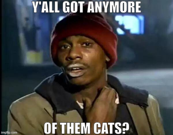 He needs one for his voodoo ritual | Y'ALL GOT ANYMORE; OF THEM CATS? | image tagged in memes,y'all got any more of that,voodoo,haitians,haiti,witch doctor | made w/ Imgflip meme maker